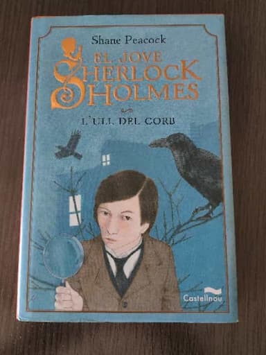 El jove Sherlock Holmes. Lull del Corb
