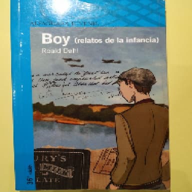 Boy : (relatos de la infancia)