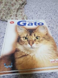 enciclopedia de gato 
