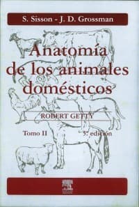 Anatomia de los animales domésticos. Tomo II