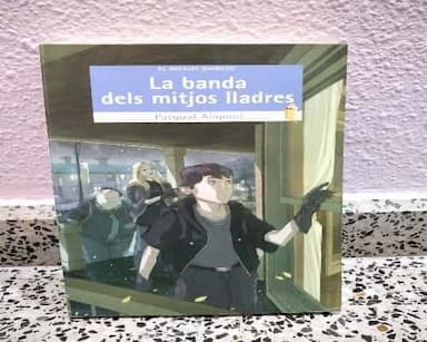 La banda dels mitjos lladres