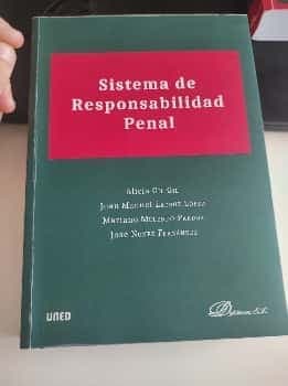 Sistema de responsabilidad penal