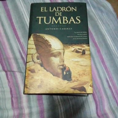 El ladrón de tumbas