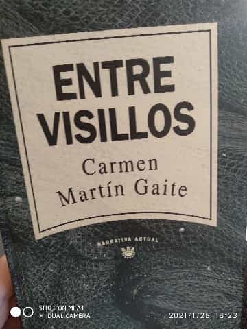 Entre Visillos