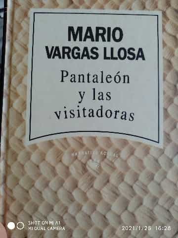 Pantaleón y las visitadoras