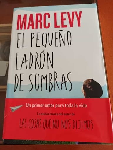 El pequeño ladrón de sombras