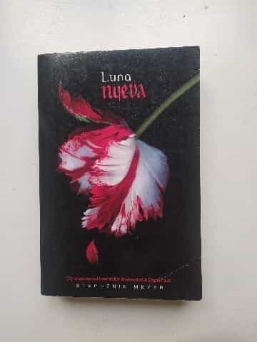 Luna nueva