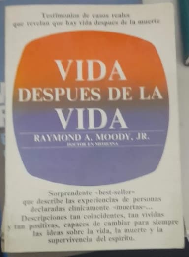 Vida después de la vida