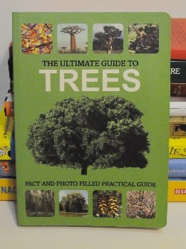 The Ultimate Guide to Trees