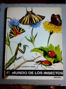 EL MUNDO DE LOS INSECTOS