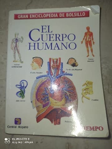 El cuerpo Humano