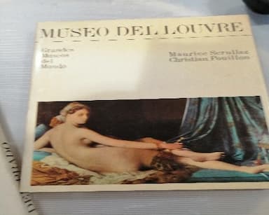 LOTE LIBROS MUSEO DEL LOUVER Y DEL PRADO