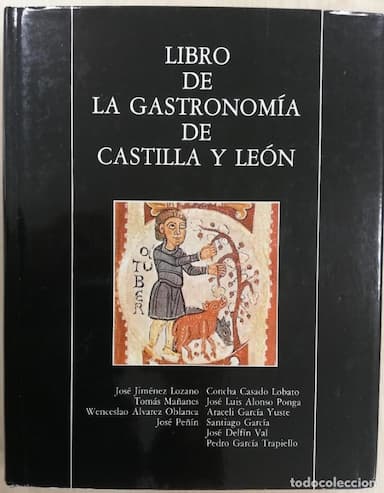 LIBRO DE LA GASTRONOMÍA DE CASTILLA Y LEÓN - VVAA