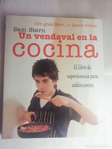 UN VENDAVAL EN LA COCINA- SAM STERN ,