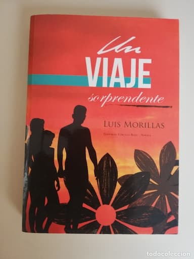 UN VIAJE SORPRENDENTE - LUIS MORILLAS