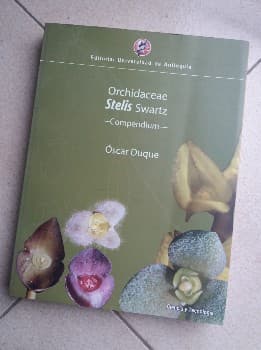 Orchidaceae Stelis Swartz