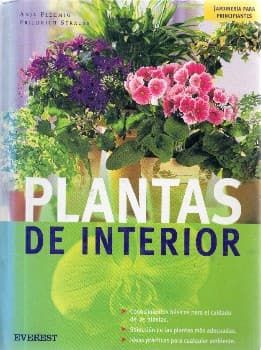 Plantas de Interior