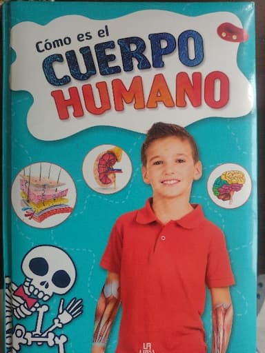 Cómo es el cuerpo humano