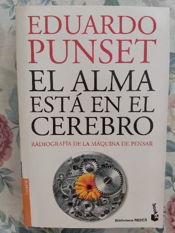 El alma está en el cerebro