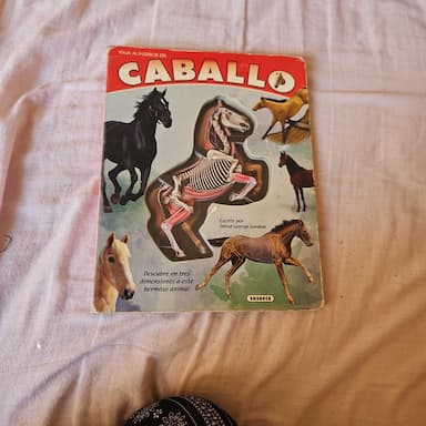 Caballo