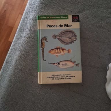 Peces de mar